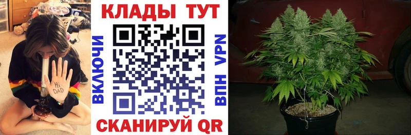 Наркошоп Приволжск ГАШИШ  APVP  Меф  МАРИХУАНА  Cocaine 