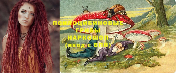 apvp Нефтекумск