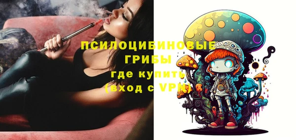 каннабис Новозыбков