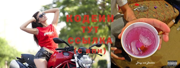 каннабис Новозыбков